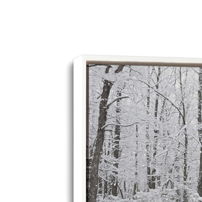 Snowy Day by Lori Deiter Art Print, Framed Canvas, 48 W x 36 H, White