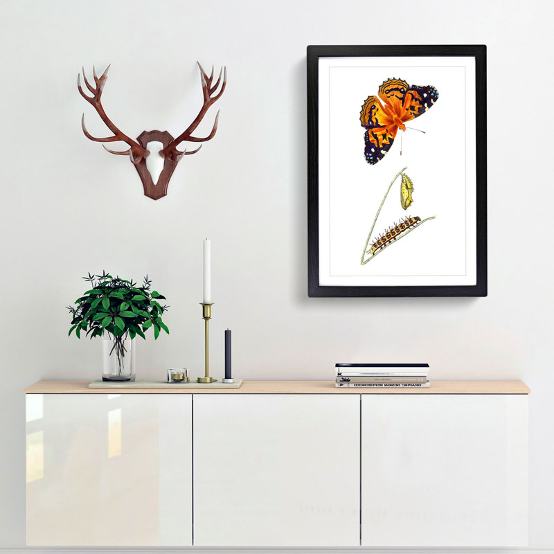 Caterpillar & Painted Lady Butterfly by George Shaw - Picture Frame Painting Print, 36cm H x 27cm W x 2cm D, Black Framed