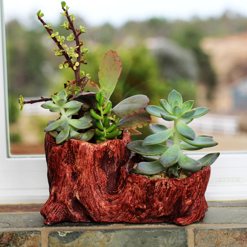 Kelm Ceramic Statue Planter, Red