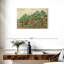 Senne The Olive Orchard-107719566