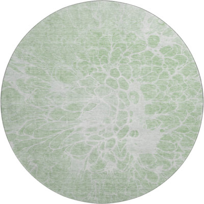 Premium Machine Washable Arnette Mint Rug