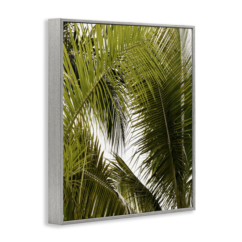 Giclée encadrée, détails de palmier en couches, design par Natalie Carpentieri, Estampe numérique Farmhouse