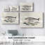 Hoefnagel Sea Vignettes III -Galerie enveloppée Cavas-375406496