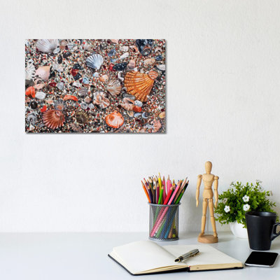 Seashells And Sand 1 Piece Wrapped Canvas Wall Art