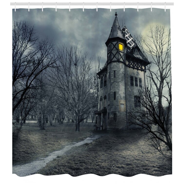 The Holiday Aisle® Halloween Decor Haunted House in Black Shower