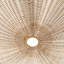 Los Palmos 3 - Light Chandelier