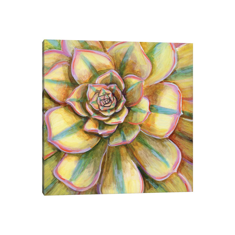 Yellow Striped Succulent by Linnea Tobias - No Frame Gallery-Wrapped Canvas Giclée on Canvas, 45.72 cm H x 45.72 cm W