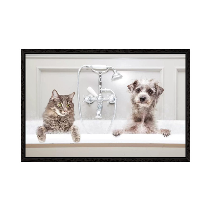 Dog And Cat In Bathtub Together by Susan Schmitz - Print on Canvas, Black Framed, 101.6 cm H x 66.04 cm W