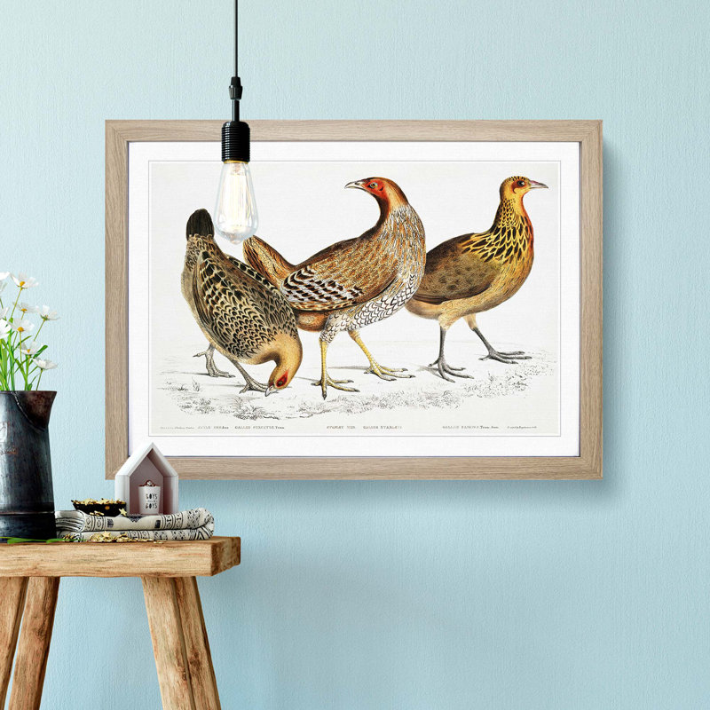 Illustration of Hens by John Edward Gray - Picture Frame Painting Print, Oak Framed, 48cm H x 65cm W x 2cm D