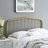 Lennon Metal Headboard-1915038601-1915038606