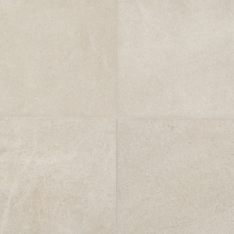 Carrelage mural et de plancher en porcelaine mat 24 po x 24 po Roosevelt (4 pièces 15,49 pieds carrés / caisse), Parc