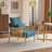 Masson Chenille Accent Chair Armchair With Pillow-1345830621