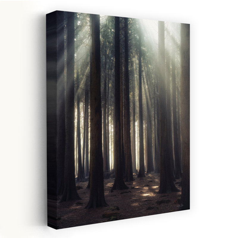 «God Rays», art contemporain de paysage forestier abstrait, H 48 po x l 32 po