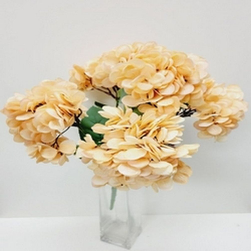 Tiges d'hortensias