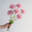 6 œillets fleurs artificielles avec tiges-388998683