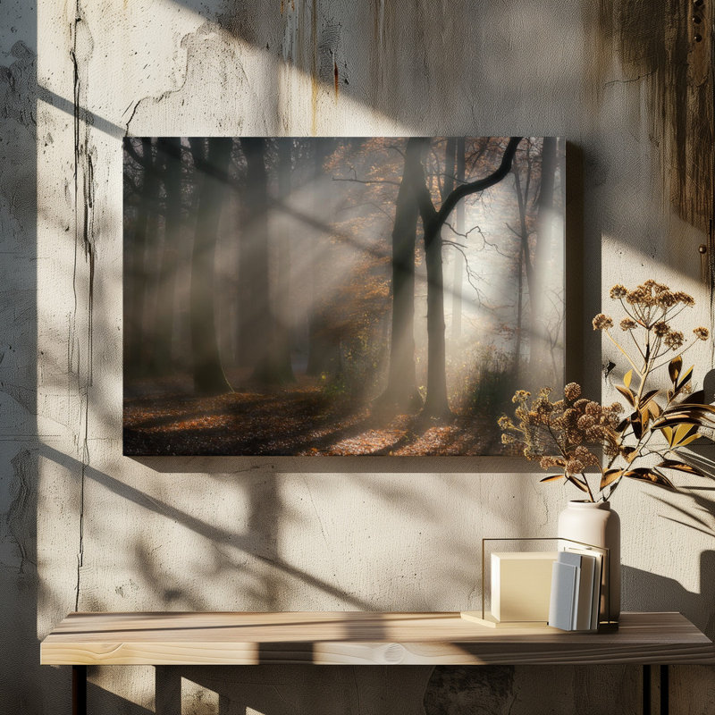 Wrapped Canvas Print, 50.8cm H x 76.2cm W