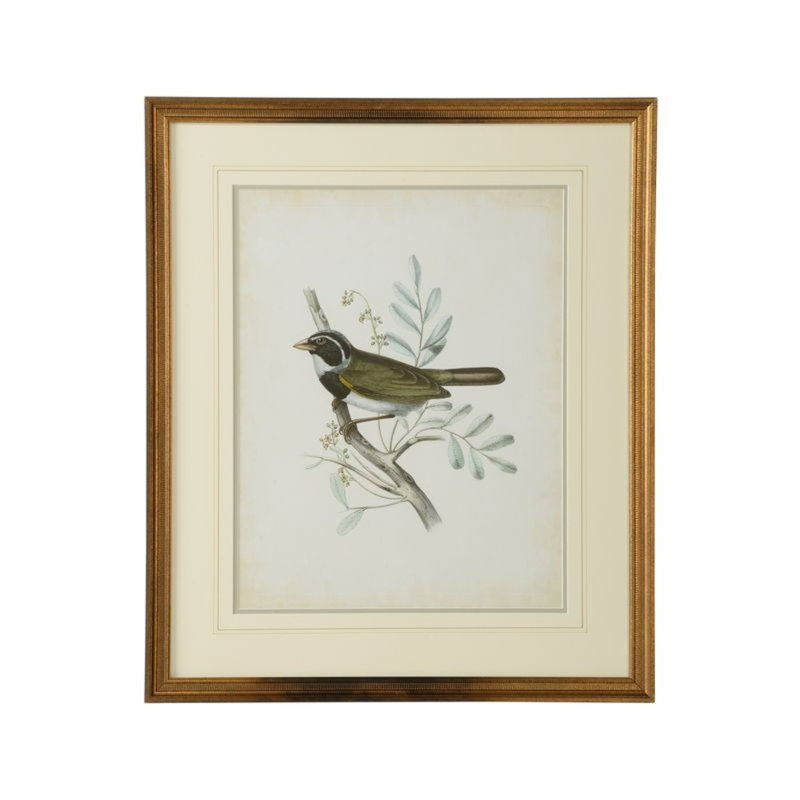 Delicate Birds VI Print