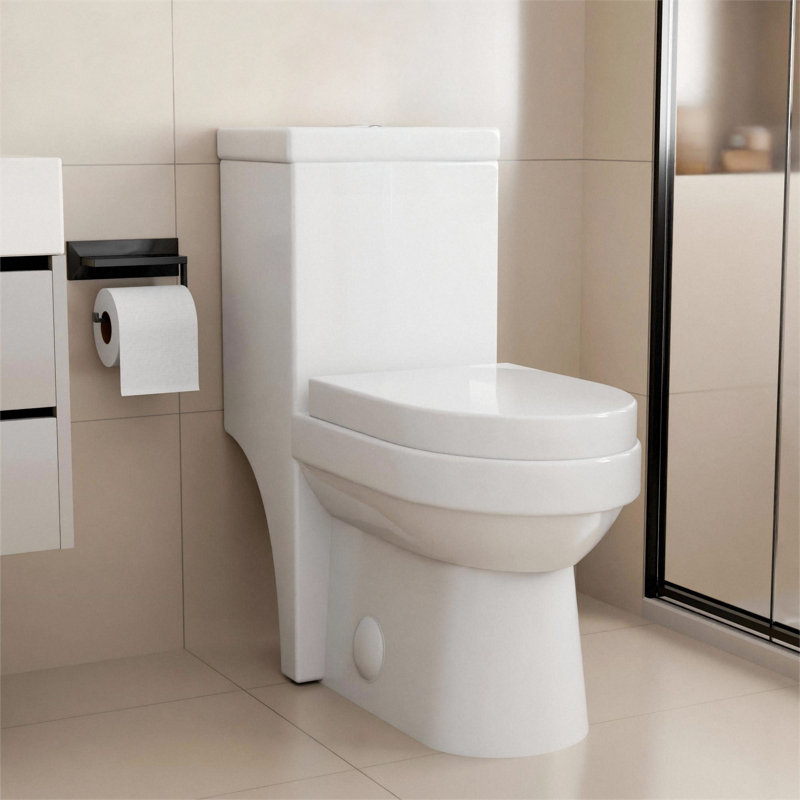 Toilette à double chasse