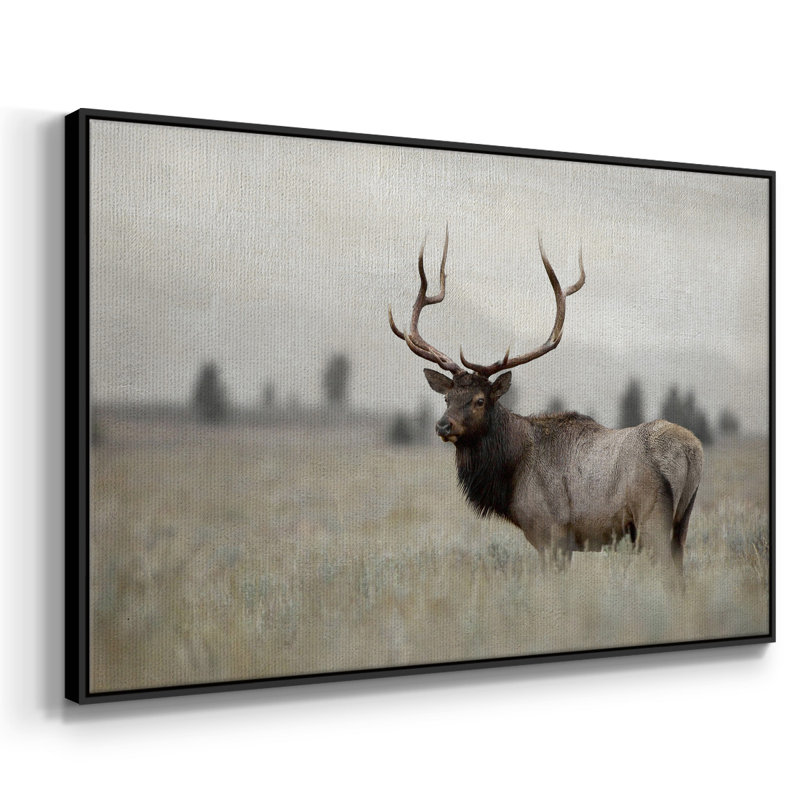 Grand élan encadré sur toile, H 17 po x l 25 po x P 2 po, Noir