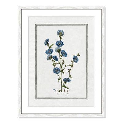 Colombe "Soft Botanical I" Print