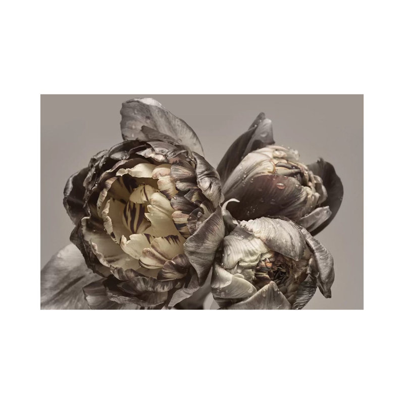 Baroque IV - Print on Canvas, Wrapped Canvas, 20.32cm H x 30.48cm W x 1.91cm D