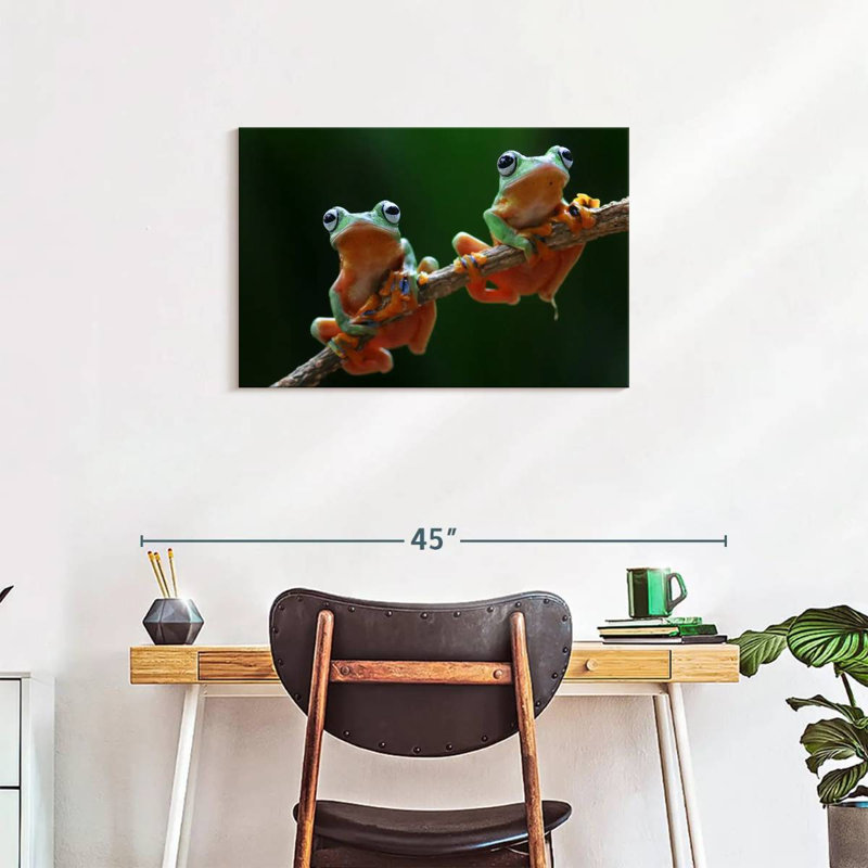 Two Wallace's Flying Frogs, 20" H x 30" W