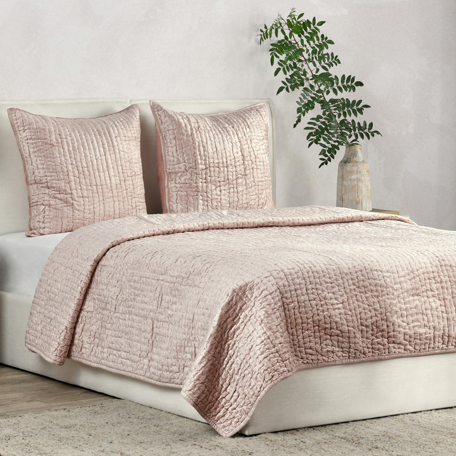 Lucio Shams, Euro, Bliss Pink