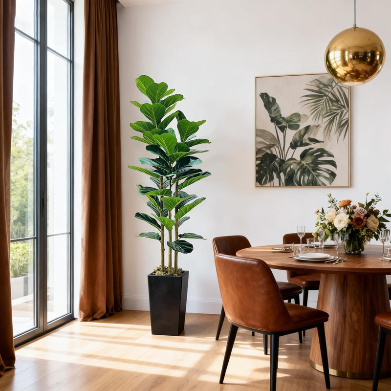 Plant, Black
