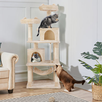 Arbre à chat 62,2 po à plusieurs niveaux pour petits / moyens chats