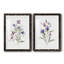 " Colour Variety III " 2 - Pieces-729514793-729514768
