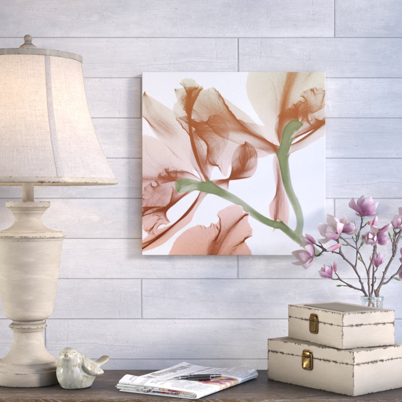 Peach Luster Cyclamen 1 - Wrapped Canvas Print, 30 cm H x 30 cm W