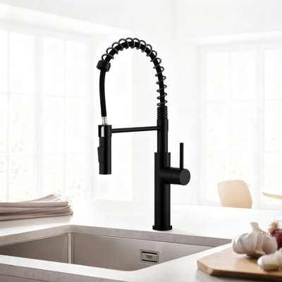 Robinet de cuisine Shane High Arc
