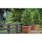 Deandrew Planter-230571533-230571530