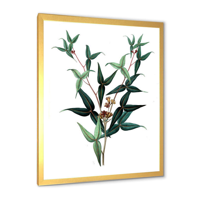 Feuilles de plantes - reproduction d'art sur toile, H 20 po x l 12 po x p 1 po, Doré