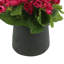 Begonia Floral Arrangement-1560274431-1520998628