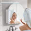 Aaleeyah Wall Mounted Required Bathroom Cabinet