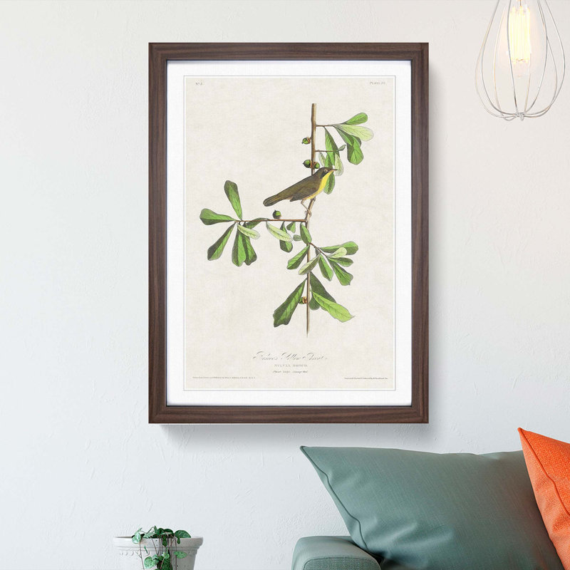 Roscoes Yellow-Throat Bird by John James Audubon - Picture Frame Graphic Art Print, Walnut, 76cm H x 50cm W x 2cm D