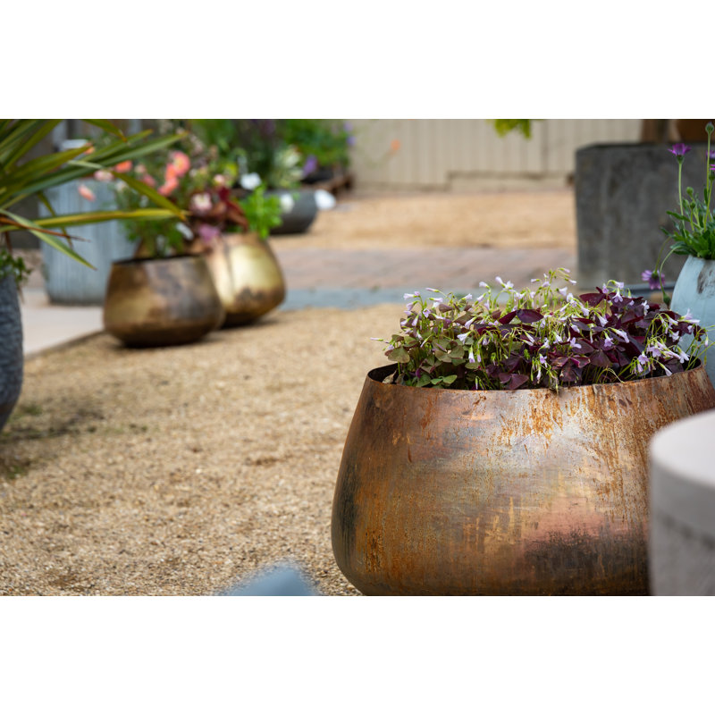 Pelaez Metal Pot Planter, 22cm H x 34cm W x 34cm D