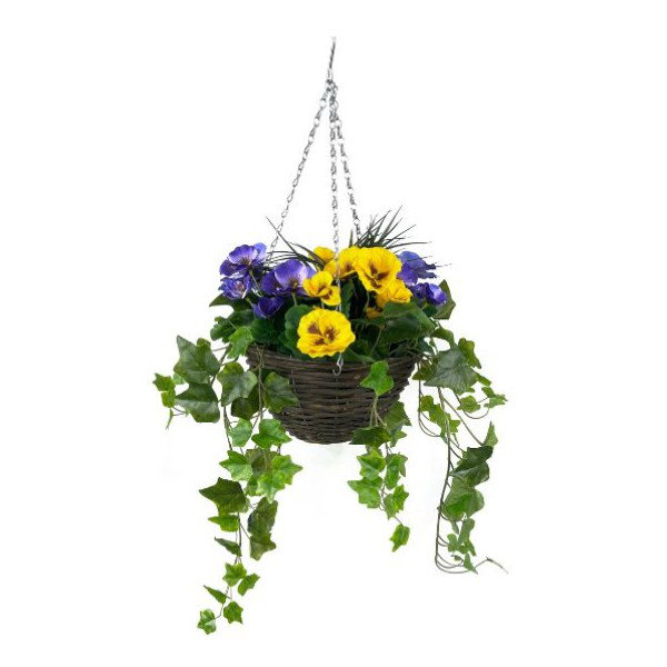 Pansy with Ivy Vine in Hanging Basket (Anti-UV)(25cm diameter basket)