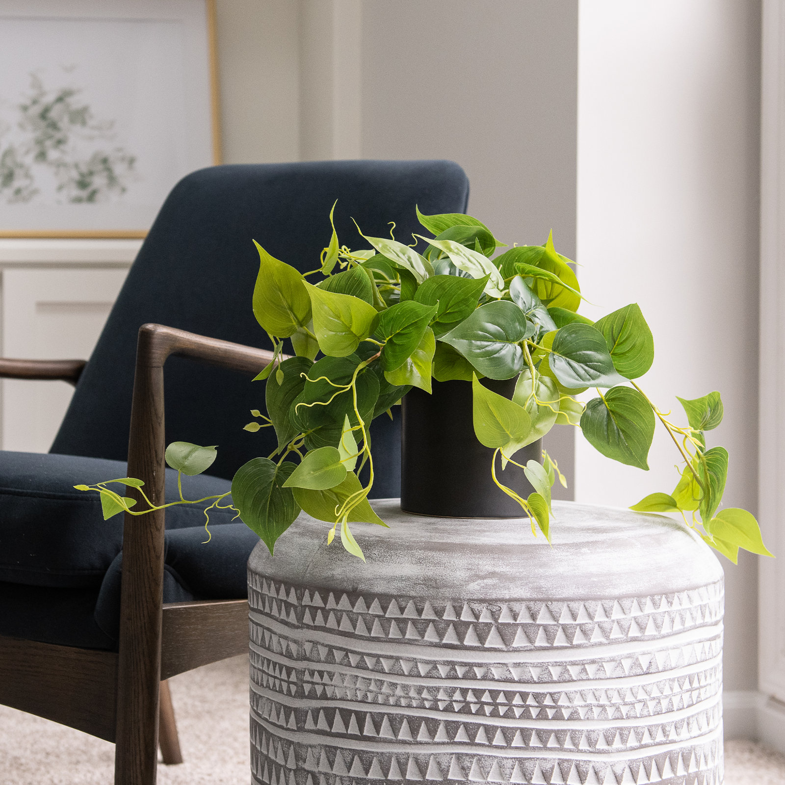14" Pothos Plant in Pot, Black, 1