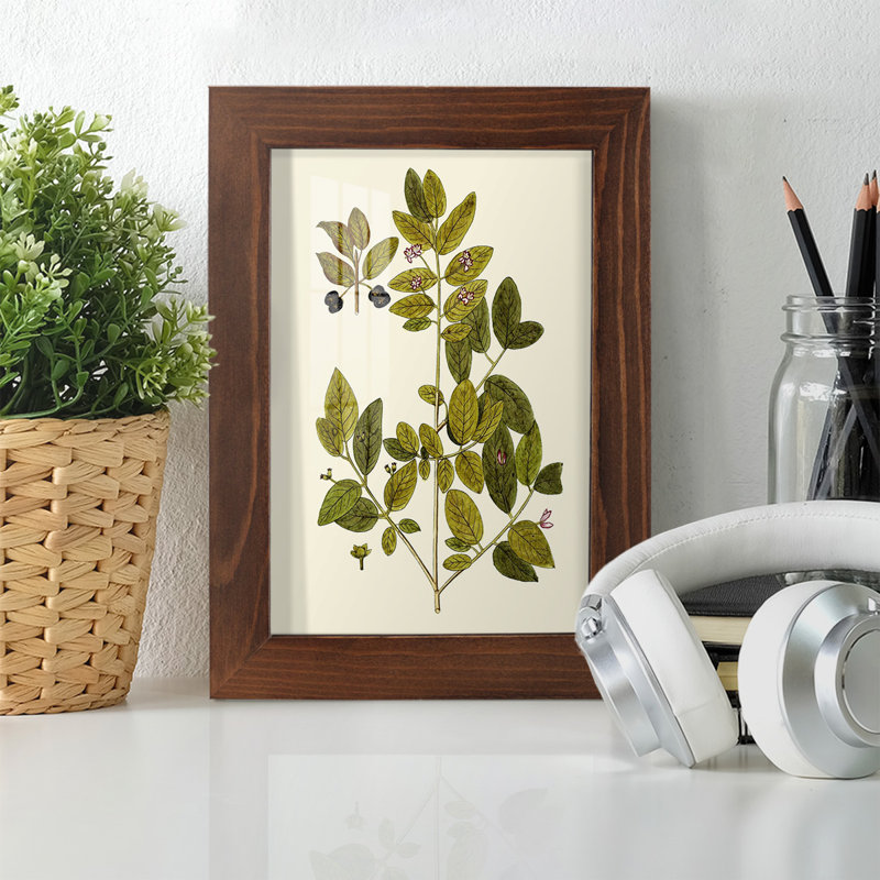 Olive Greenery VII, reproduction d'art encadrée, H 7 po x l 5 po x P 1 po, Châtaigne