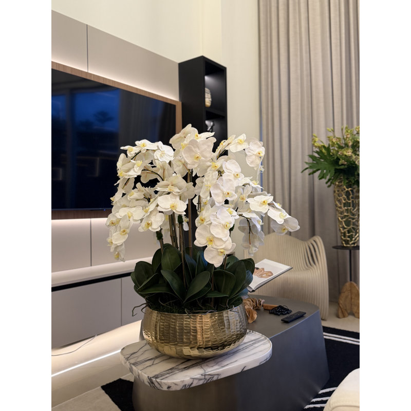 Roberi bowl with multiple stems of white Phalaenopsis orchids, White, 38" H x 22" W x 22" D