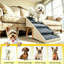 Marchepieds pliables pour chien 2 en 1 avec repose-pieds, rampe d'escalade à 4 marches pour petits chiens-133409568-133409571