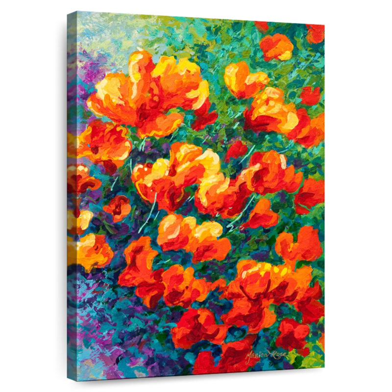 Coquelicots Harnek, Californie, orange, H 45 po x l 30 po