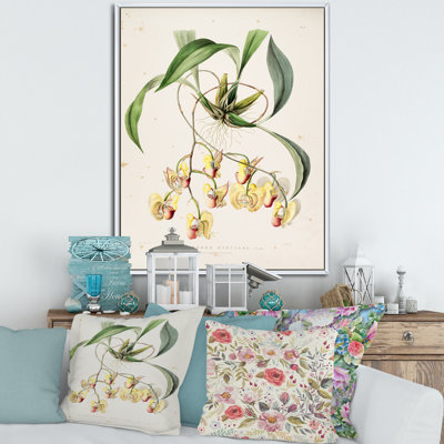 «Vintage Blossoming Flower I», peinture sur toile