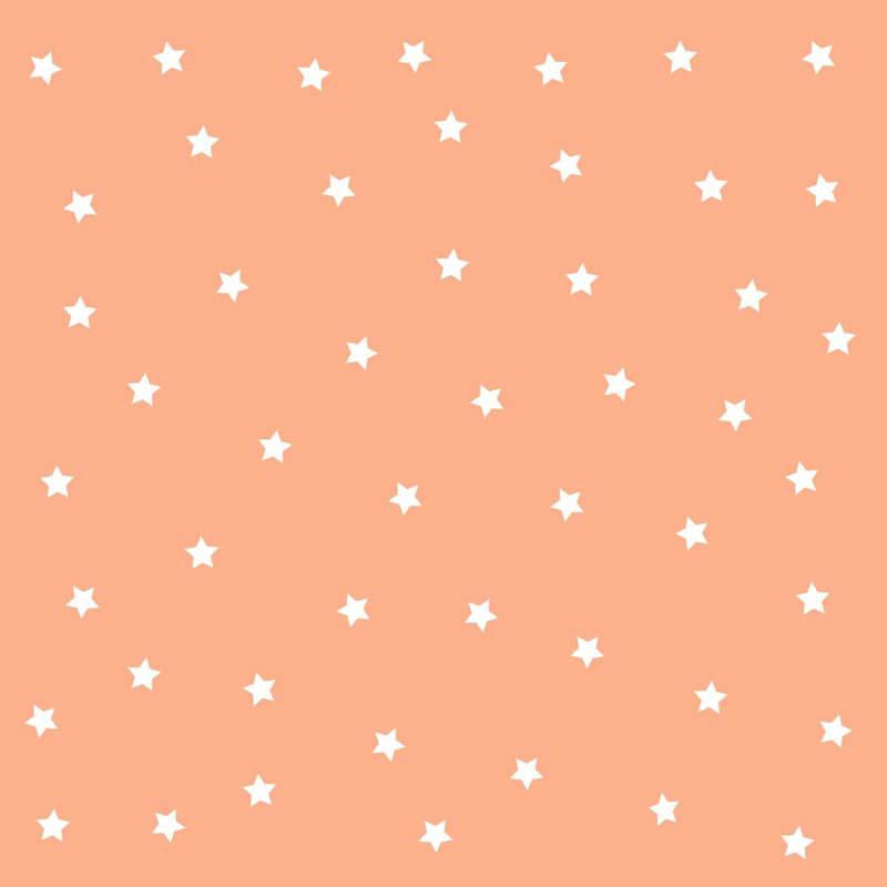 Rouleau de papier peint autocollant L 8,5 pi x l 24 po Weist Star and Salmon