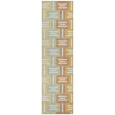 Machine Washable Indoor/Outdoor Chantille ACN2556 Mid-Century Modern Rug