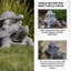 Aalayiah Tortoise Weather Resistant Garden Statue
