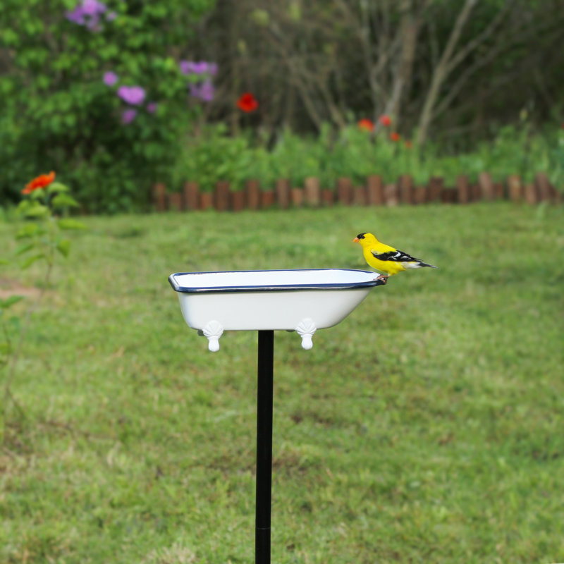 Brander Metal Single Tier Birdbath, White Enamel