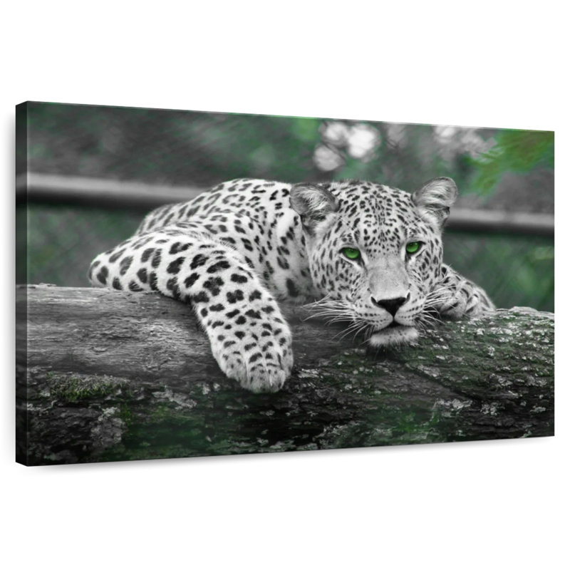 Jaguar aux yeux verts, H 8 po x l 12 po